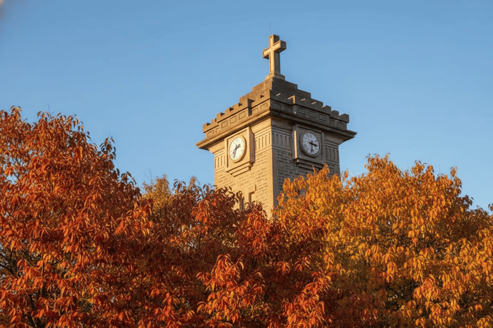 The bell tower not only adds vertical grandeur to the structure but also serves as a symbolic and architectural focal point of the cathedral